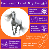 Mag-Eze - 1kg