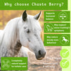Chaste Berry - 1Kg