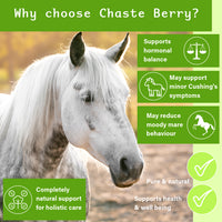 Chaste Berry - 1Kg