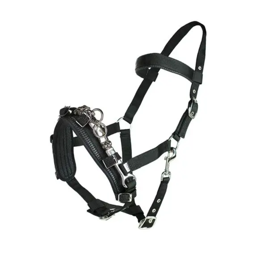 Padded Lunge Cavesson - Black Full