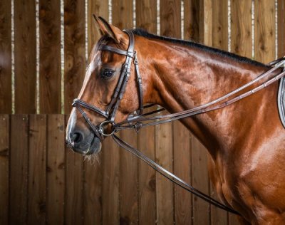 Working Hunter Draw Reins 1/2" - Brown