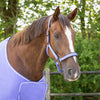 Headcollar Deluxe - Purple