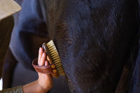 Mini Mud Brush