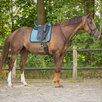 Saddle Pad Micah Dressage - Ocean Breeze Full