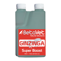 Ginzinga