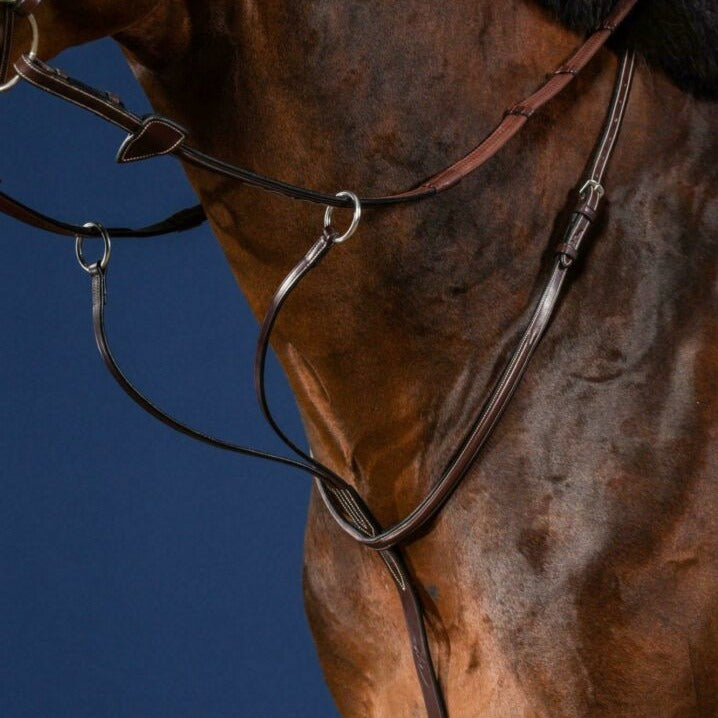 US Jumping Running Martingale - Brown