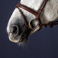 New English Flash Noseband - Brown