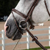 US Jumping Hunter Flash Noseband - Brown
