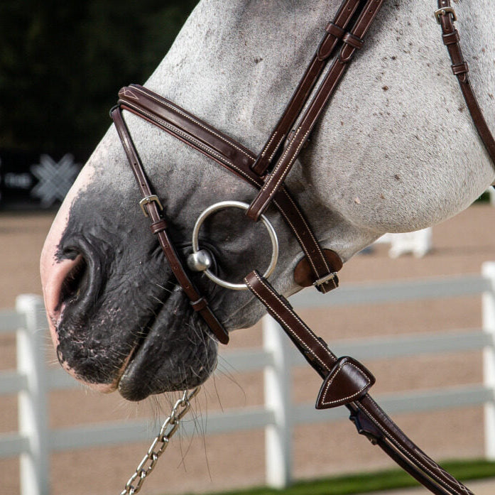 US Jumping Hunter Flash Noseband - Brown