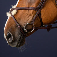New English Fig 8 Noseband - Brown