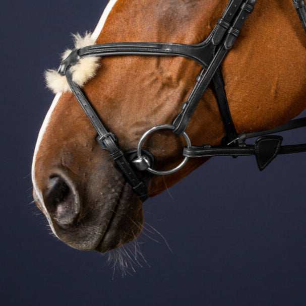 New English Figure 8 Noseband - Black
