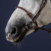 New English Leather Covered Rope Noseband - Brown