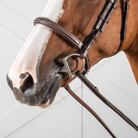 US Jumping Cavesson Noseband - Brown