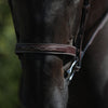 US Jumping Cavesson Hunter Noseband - Brown