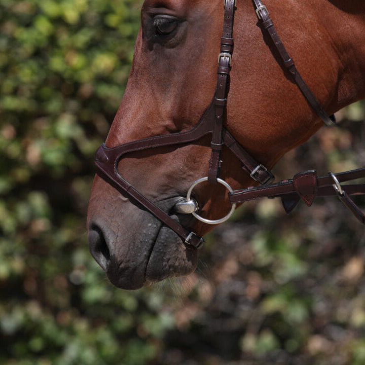New English X-Fit Noseband - Brown