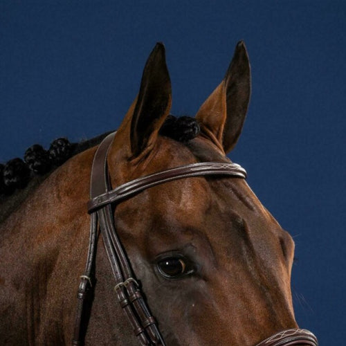 Hunter Straight Browband without Pins - Brown