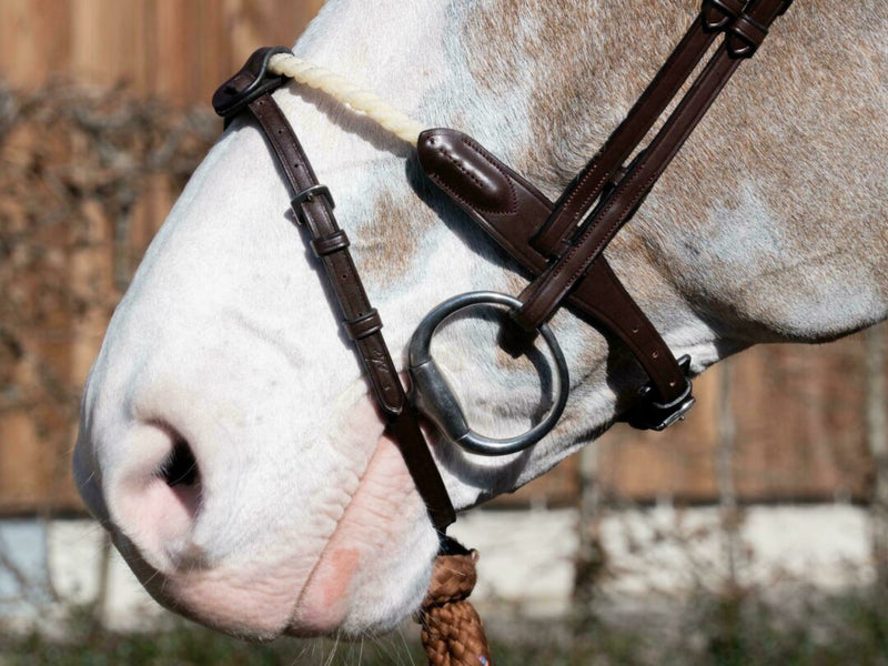 New English Flash Nose Strap with Removable Loops - Brown