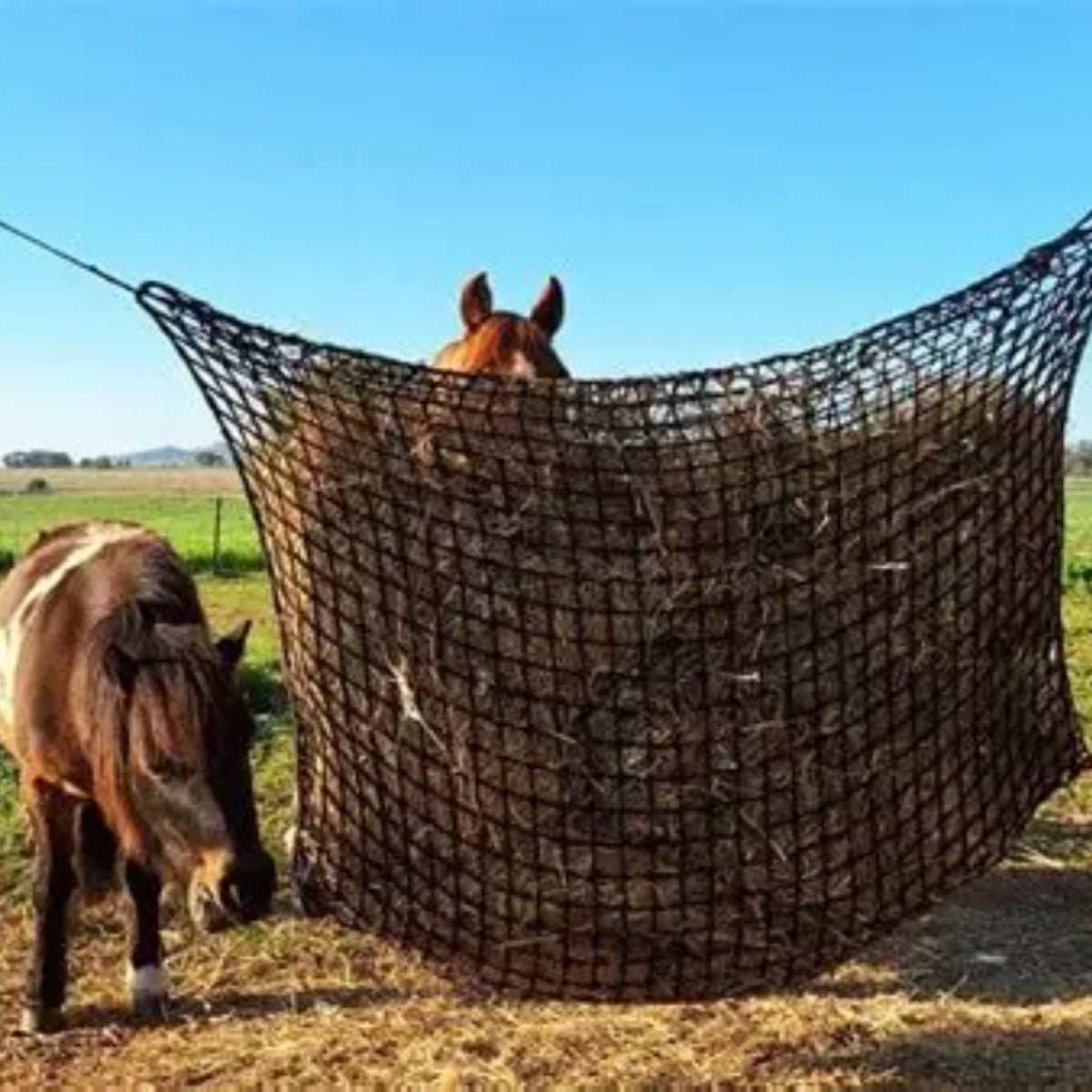 Knotless Hay-Stay Hanging Hay Net