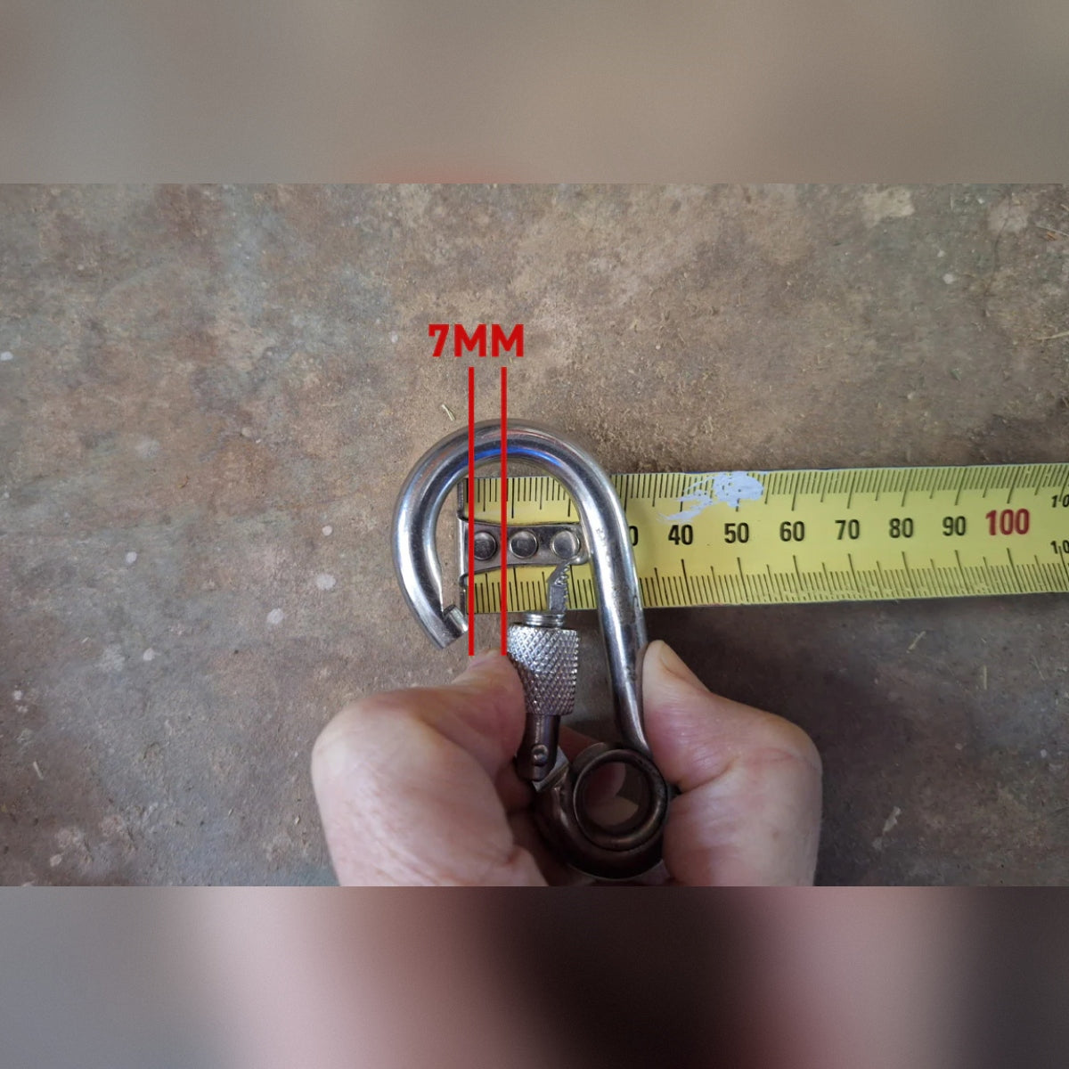 Carabiner Clip - Heavy Duty