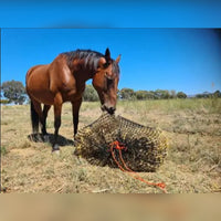 Knotless Hay Net - Large