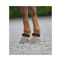 Fetlock Ring Pair