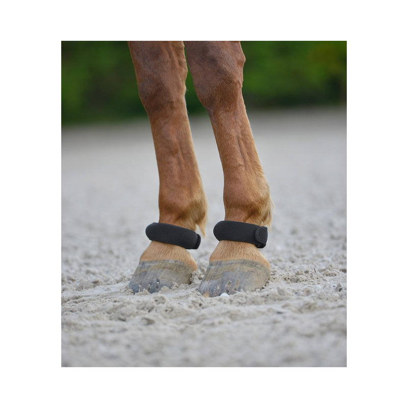 Fetlock Ring Pair