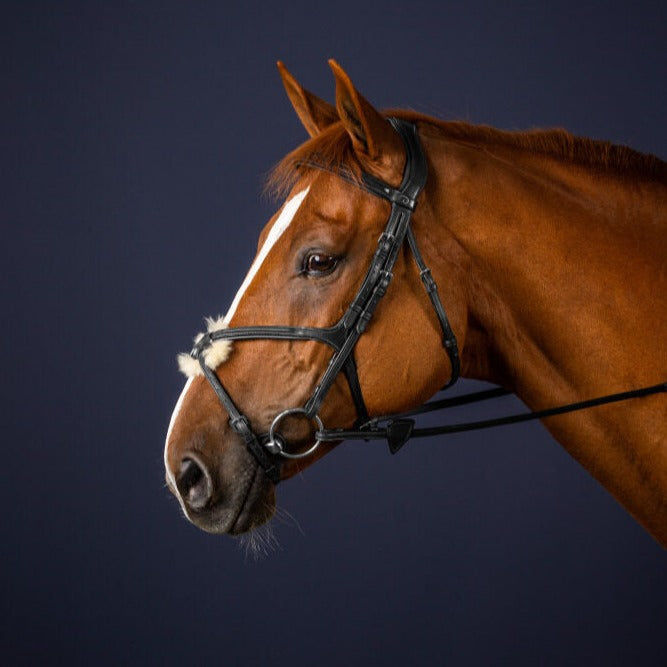 New English Fig 8 Noseband Bridle - Black