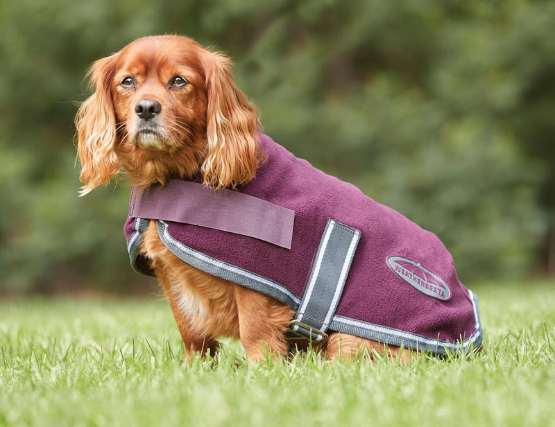 Burgundy dog jacket 2025