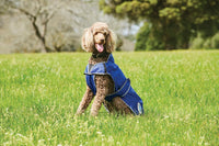 Windbreaker Free Deluxe Dog Coat - Blue/Grey/White