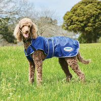 Windbreaker Free Deluxe Dog Coat - Blue/Grey/White