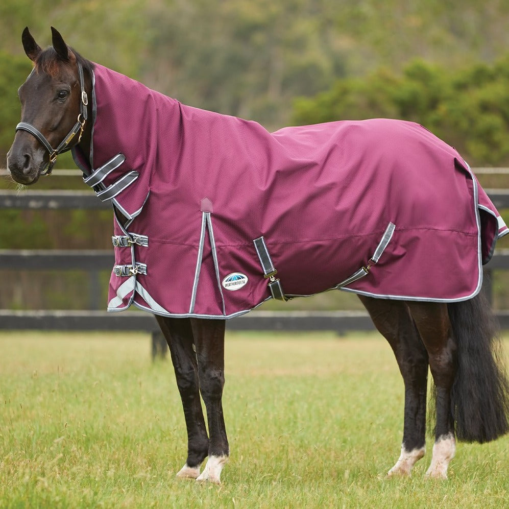 Weatherbeeta ComFiTec Plus Dynamic ll Combo Med/Lite (2021)