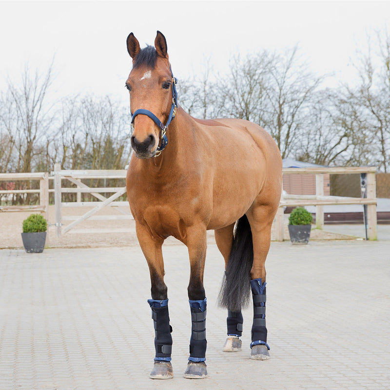 Horze - Stable Boots Pro