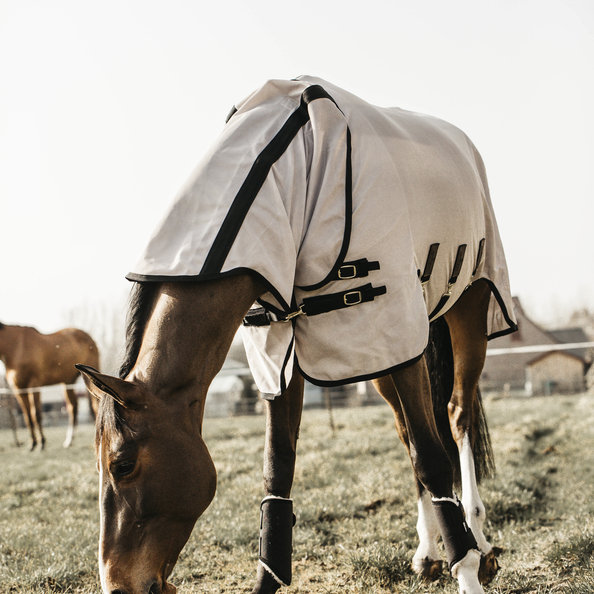 Mesh Fly Rug - Beige