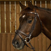 Working Flat Leather Bridle with Snap Hooks - Brown