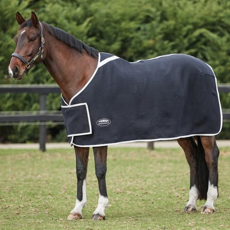 Wool Show Rug with Chest Panel - Black/White
