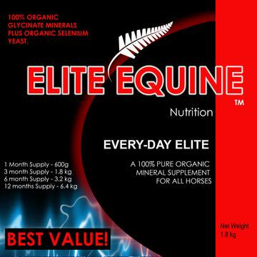 Elite Equine - Every-Day Elite