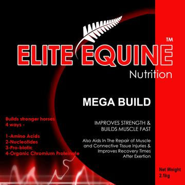 Elite Equine - Mega Build
