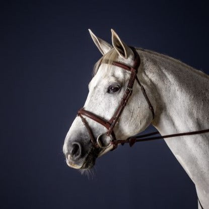 New English Flash Noseband Bridle - Brown