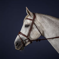 New English Anatomic Flash Noseband Bridle - Brown