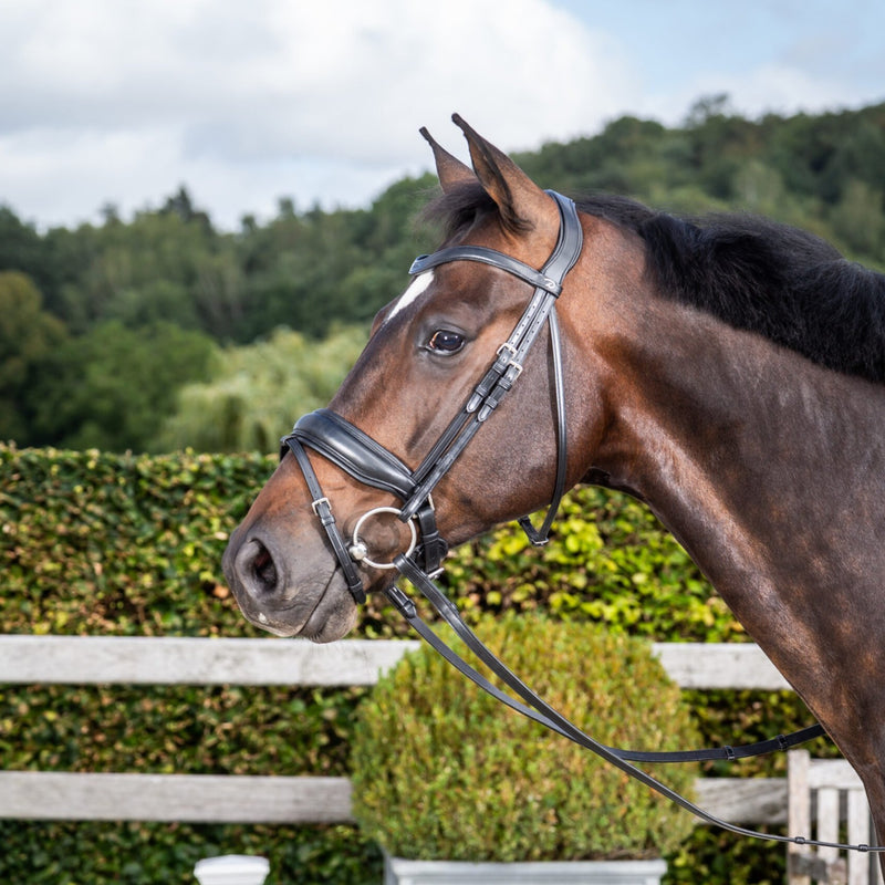 Working Matte Large Crank Noseband Bridle with Flash - Black