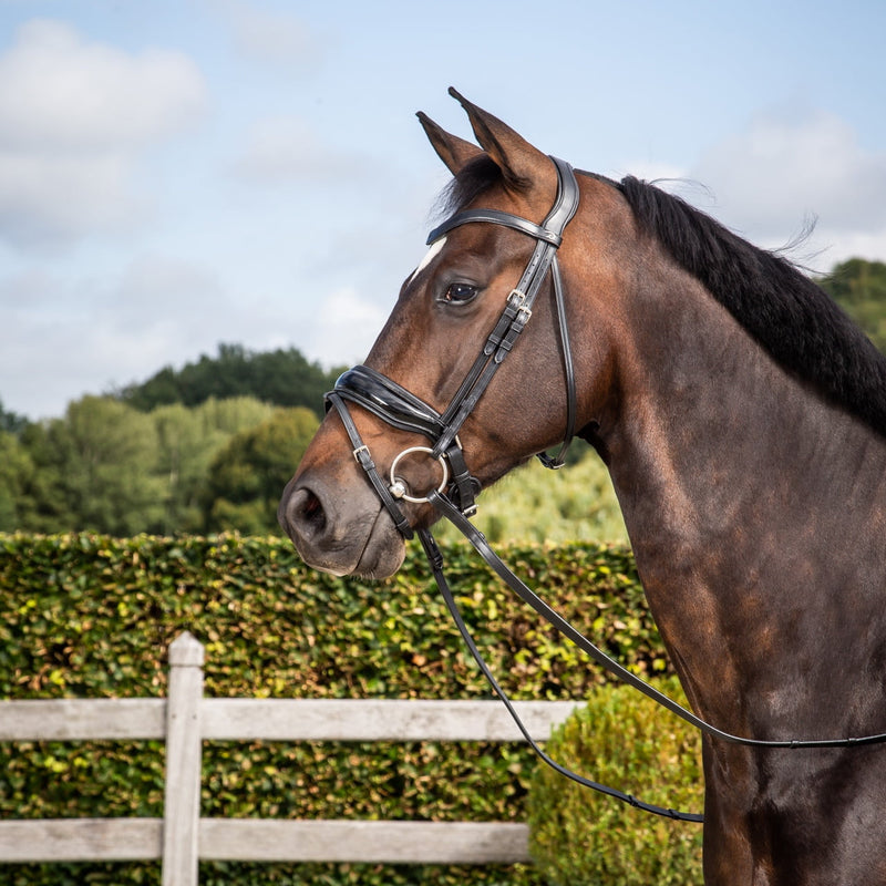 Working Patent Large Crank Noseband Bridle with Flash - Black