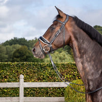Working Patent Large Crank Noseband Bridle with White Padding and Flash - Black (Cob)
