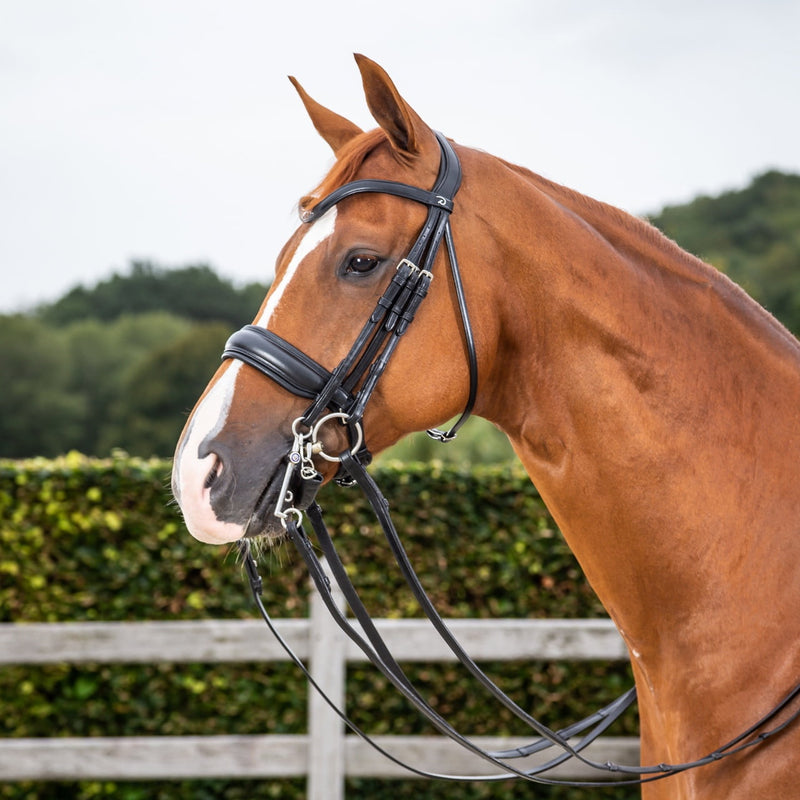 Working Matte Large Crank Noseband Double Bridle - Black