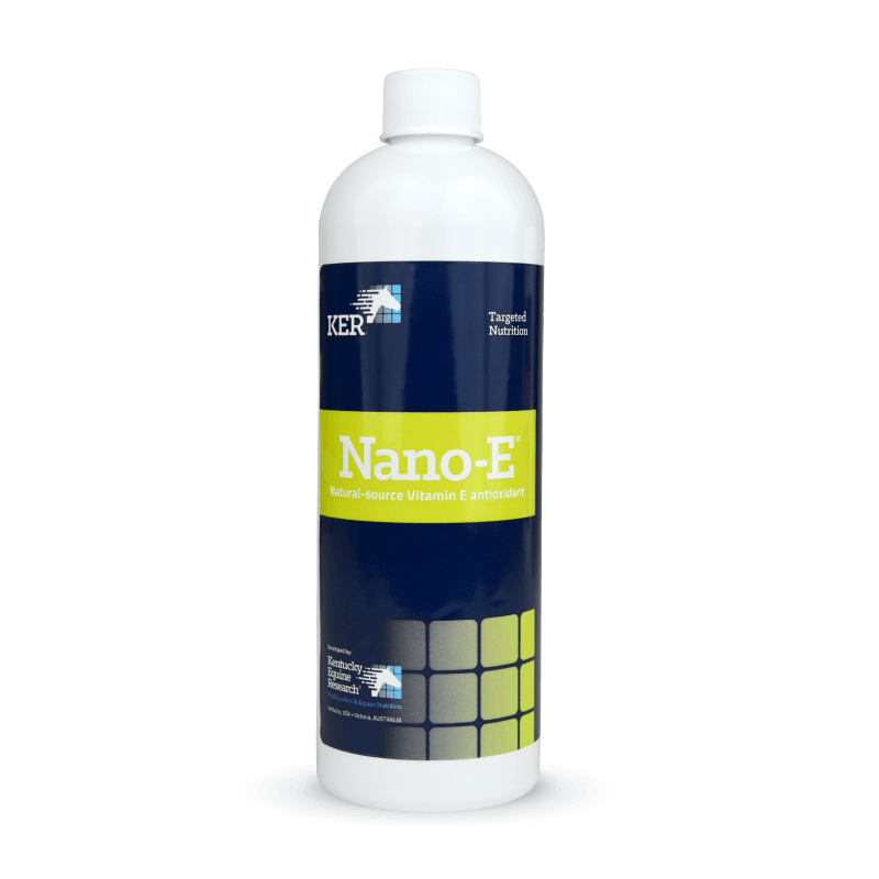 Nano E 450ml with Syringe