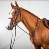 US Hunter Standing Martingale - Brown