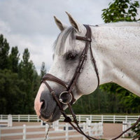 Hunter Anatomic Flash Noseband Bridle - Brown