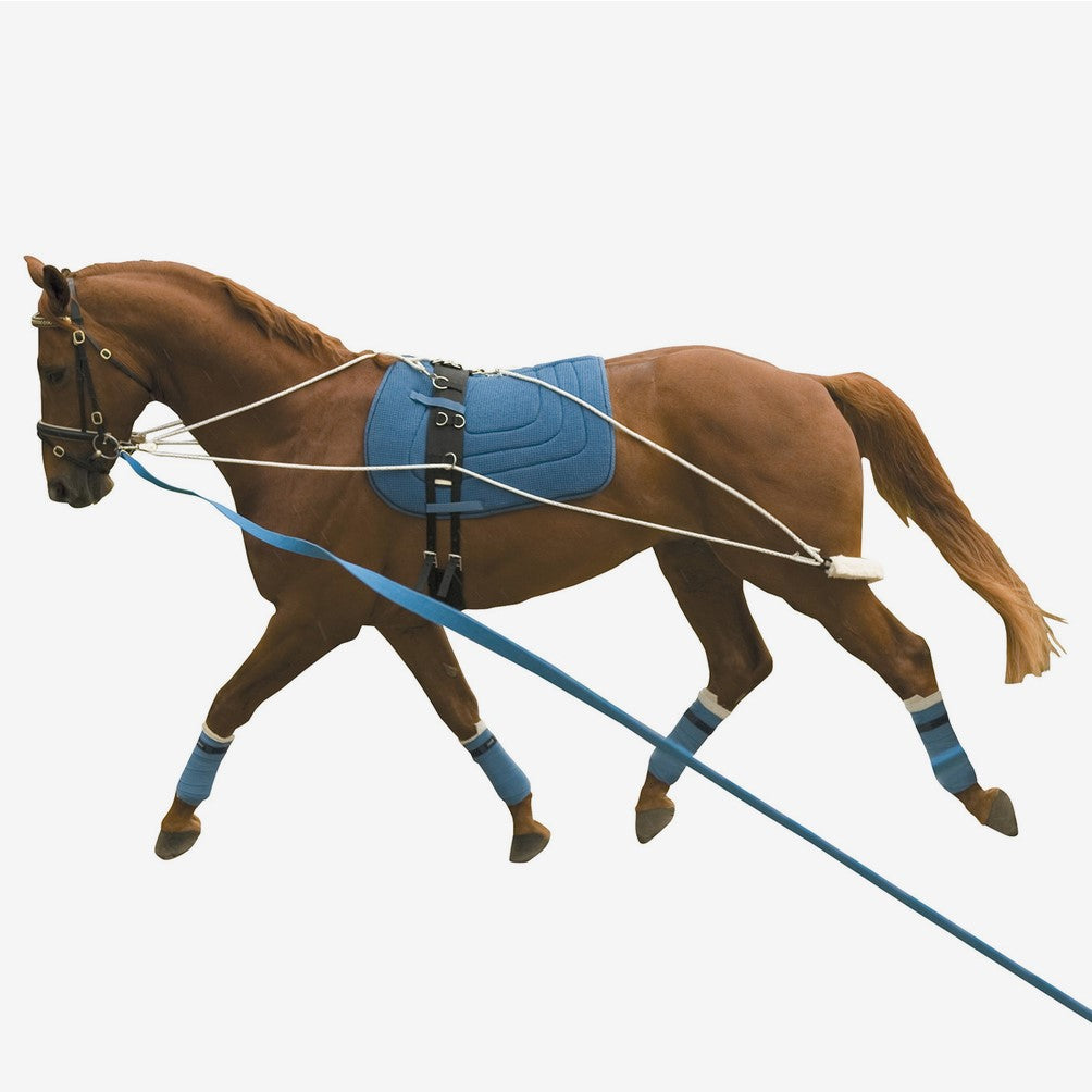 Kincade - Lunging Training System