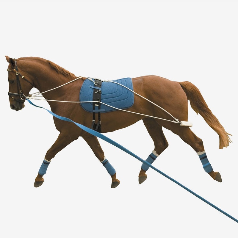 Kincade - Lunging Training System