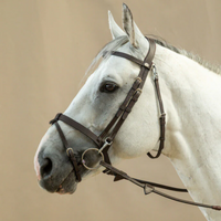 Working Flat Leather Bridle with Snap Hooks - Black