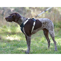 Weatherbeeta - Explorer Dog Harness